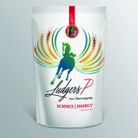 Ludgers Science Energy
