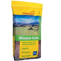 Marstall Wiesen-Cobs
